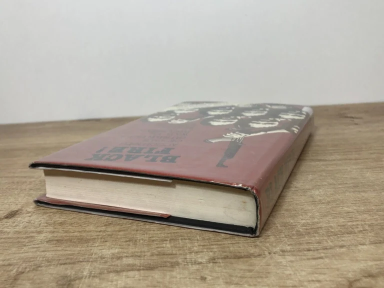 Black Fire: Accounts of the Guerrilla War in Rhodesia by Michael Raeburn, detail