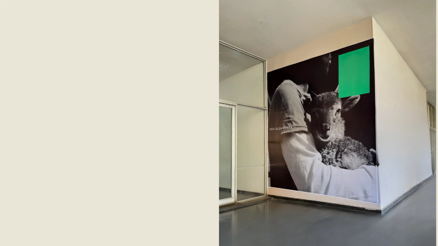 The campaign image installed in the balcony space of the National Gallery of Zimbabwe