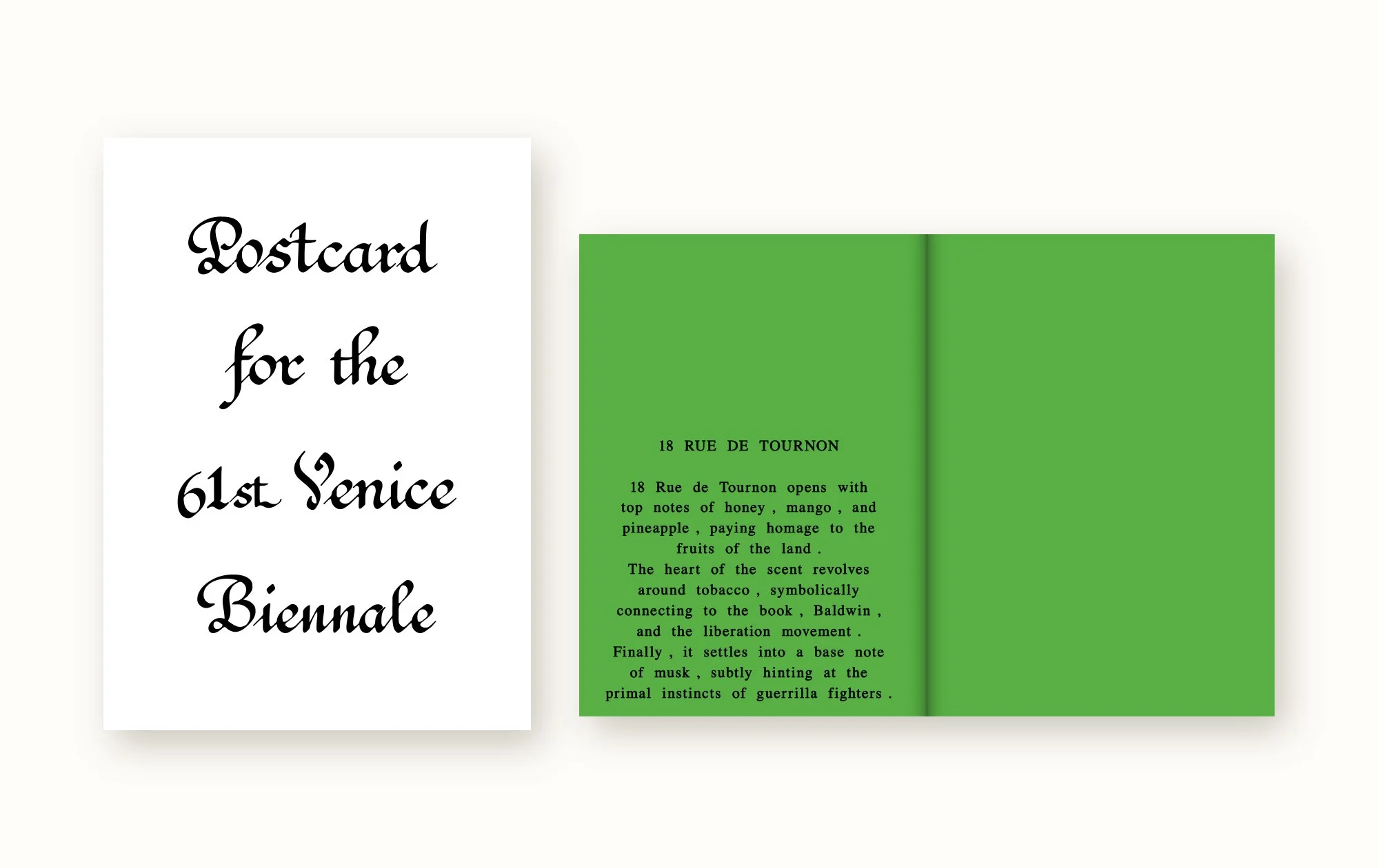 Postcard for the 61st Venice Biennale (free copy)